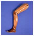 above-knee