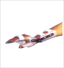 handwrist