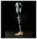 Above Knee Braces