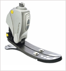 Above Knee Braces