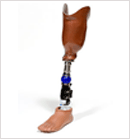 Below Elbow Braces